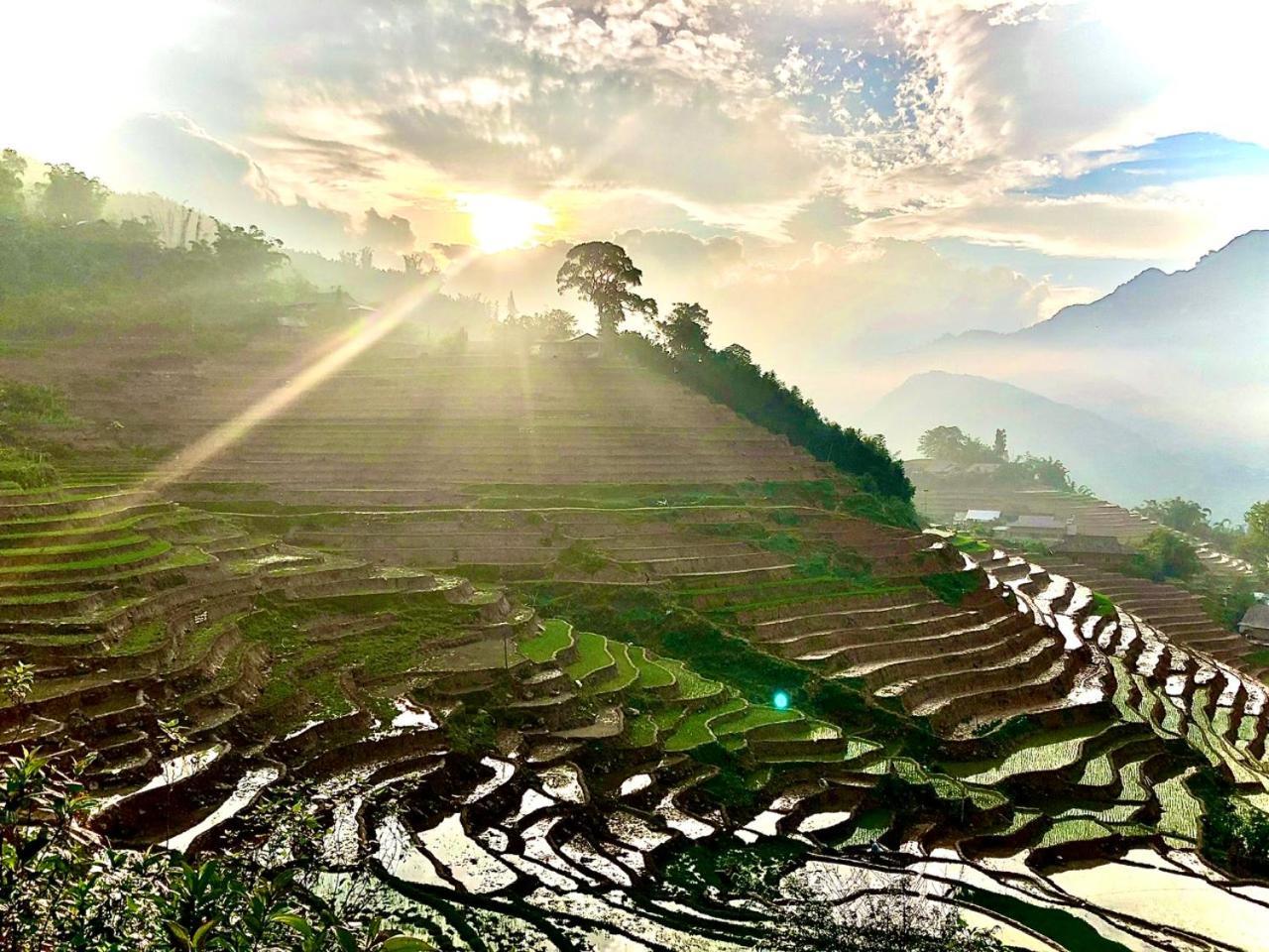 Eco Hills Homestay サパ エクステリア 写真
