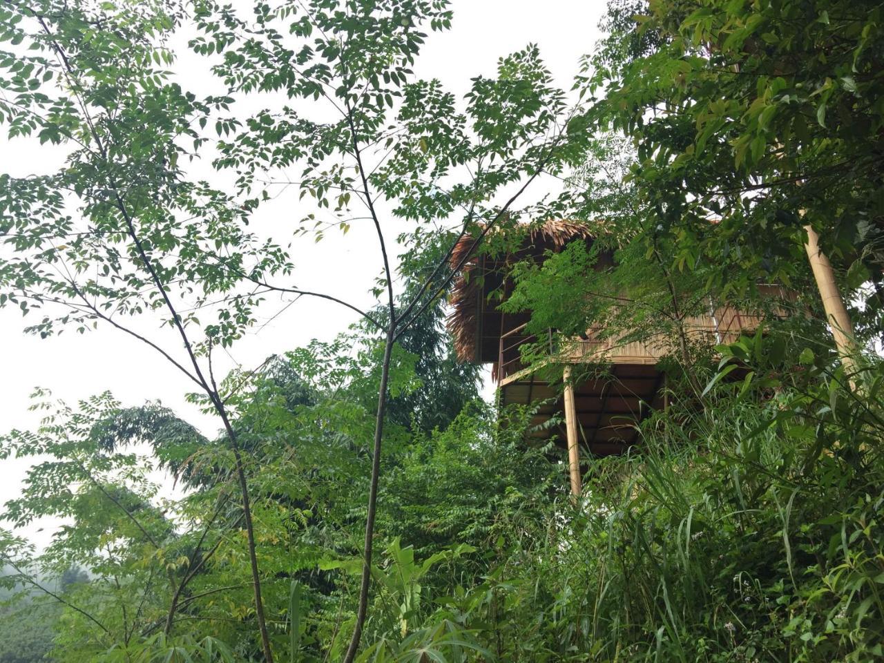 Eco Hills Homestay サパ エクステリア 写真