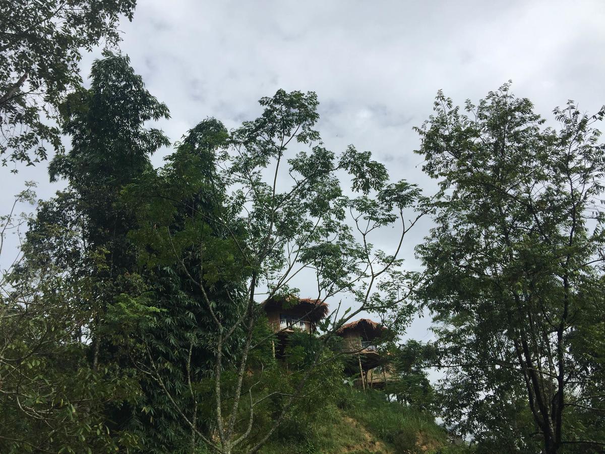 Eco Hills Homestay サパ エクステリア 写真